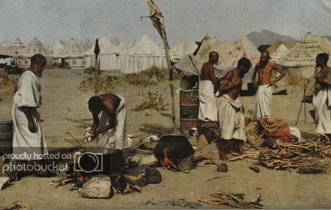7a17.jpg