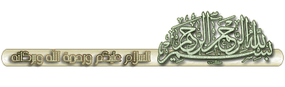 752508147.png