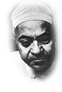 r305fa16.jpg