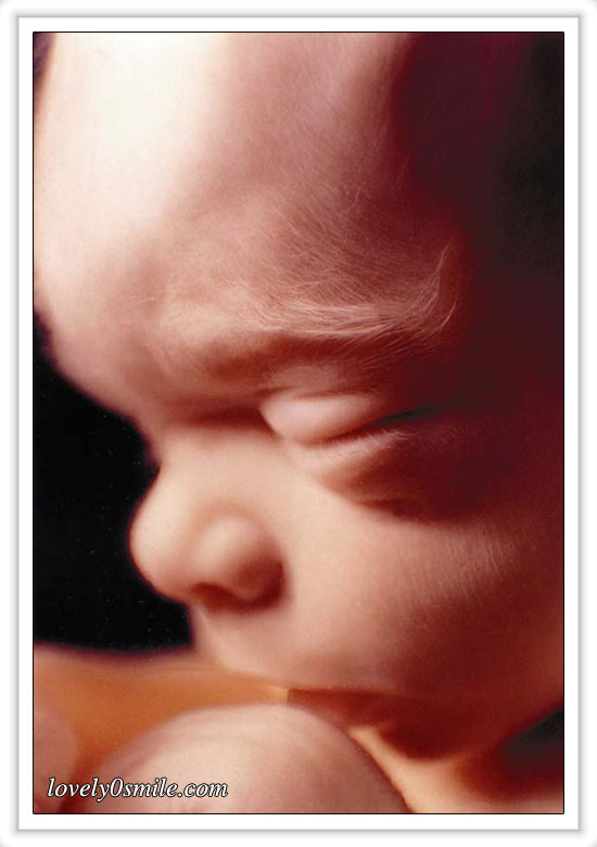 fetus-09.jpg