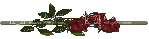 ro72.gif