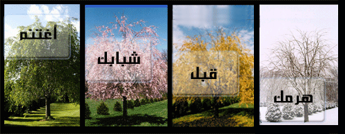 3lo0osh%20al7rbia7e1185837.gif