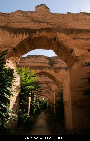 morocco975.JPG
