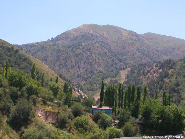 Nature-210.jpg