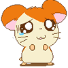 graaam%20(317).gif