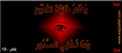 3489705434_ff6ce098d6_o.jpg