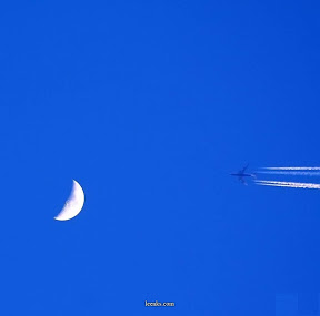 fancyphotos-9.jpg