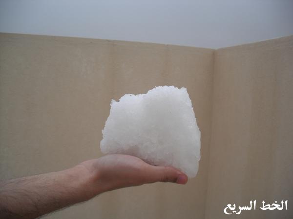 995714424.jpg