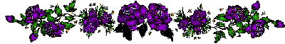 lines24.gif