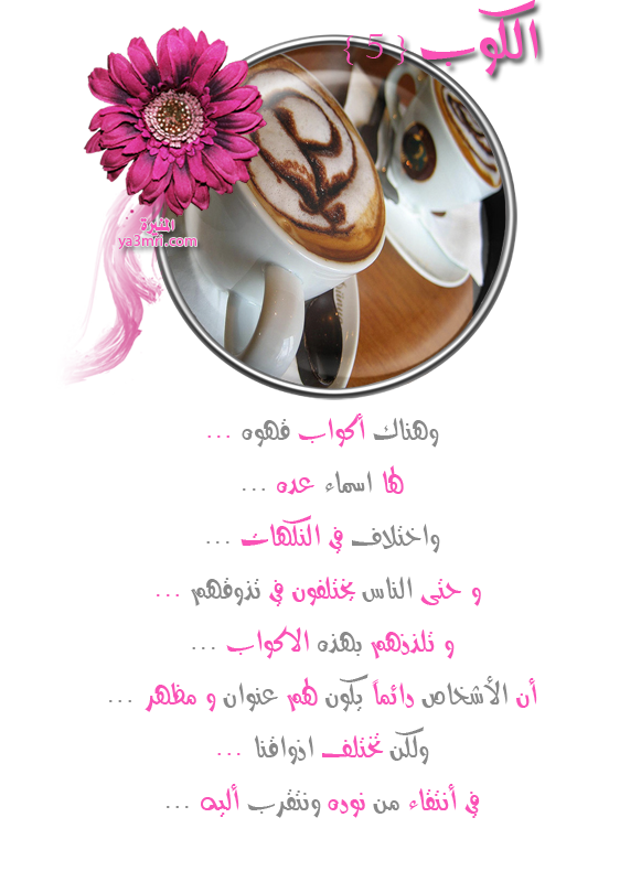 1128101111424cjomike3o6axy.png
