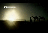 seera19.gif
