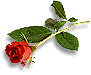 flowers-002.gif