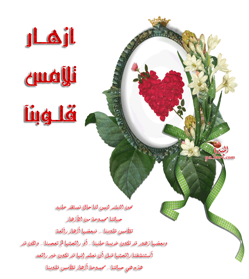 092010040943unx8bz39xebqh3x2e.gif
