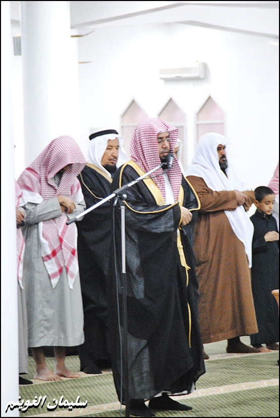1231101112027ypjuwdzfp.jpg