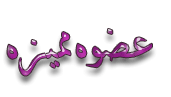 image_11.gif
