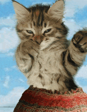 z23d3ru9.gif