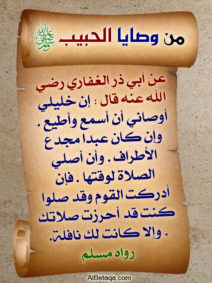 wasaya16.jpg