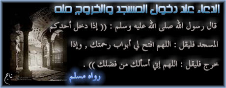 bitaqaar-mahjor-9.jpg