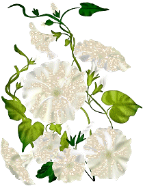 flowers-desi-glitters-27.gif