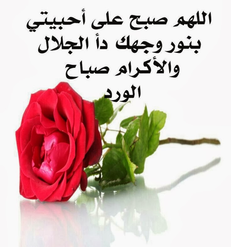 almastba.com_1390969198_760.jpg