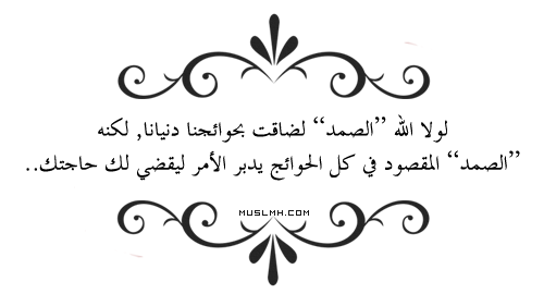 i_61e67d8f606.png