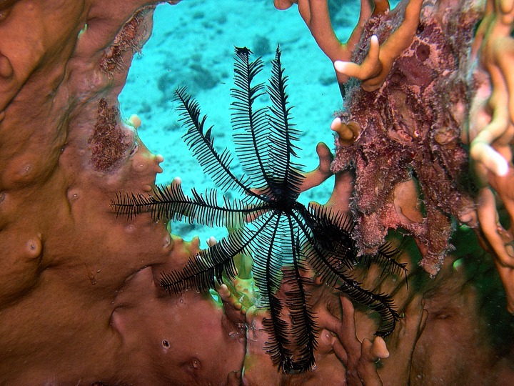 hurghada_14.jpg