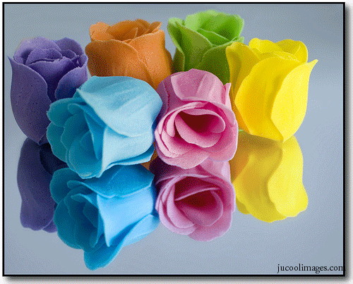 flowers_67.gif