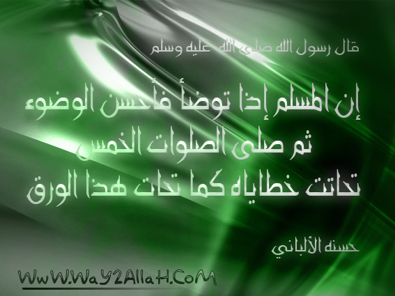 3411192961_a902cfc202_o.jpg
