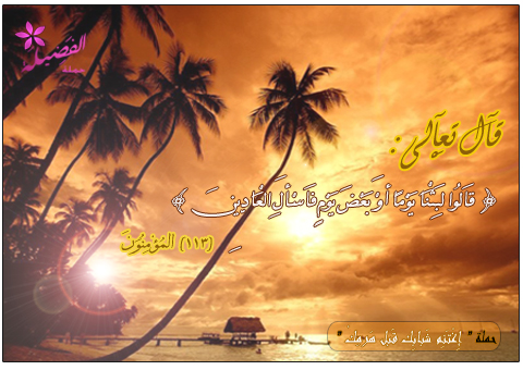 3lo0osh%20al7rbicb897e2a14.jpg