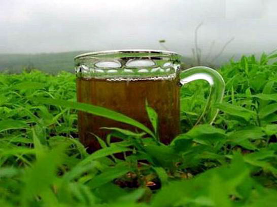 tea-saida.jpg