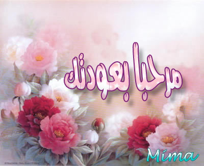 gallery_3_2_45562.jpg