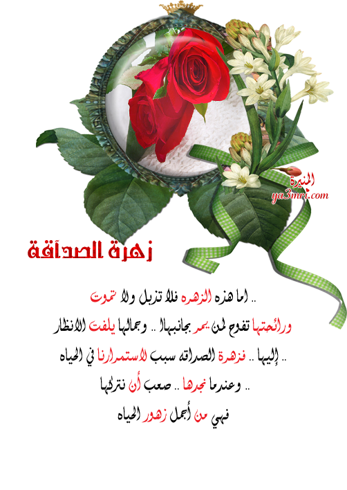 092010040943pq3f7imfclb3.png