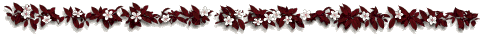 300417838.gif