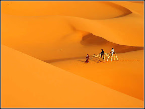 show_file%203.jpg
