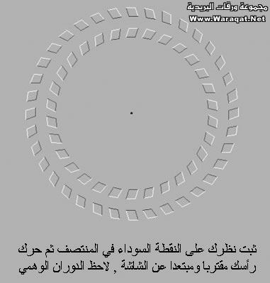 swar_kda317.jpg