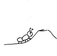 ant.gif