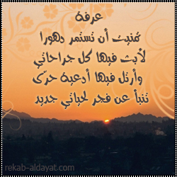 wh_36997073.jpg