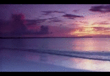 hsan.gif