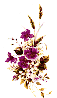 f2.gif