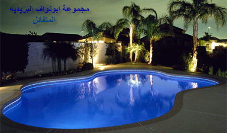 f79a8bbaf8.jpg