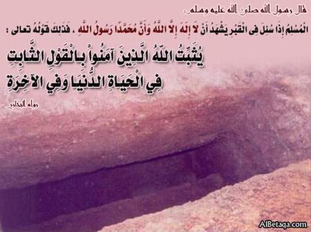 saudi_zohd-mawt0005.jpg