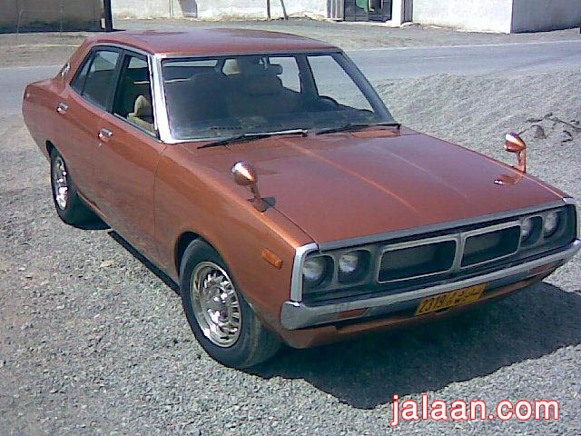 81962728.jpg