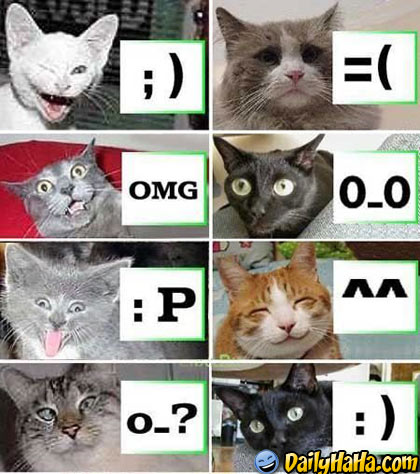 cat_smileys.jpg