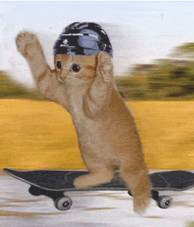 55kqsxom.gif