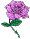 icon40.gif