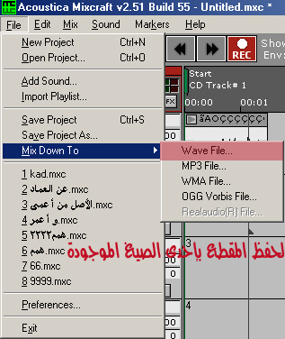 em123_Mixcraft8.jpg