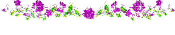 40ert.gif