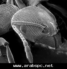 9b2cac5576.jpg