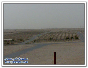from-24-5-www.uaeec.com0.jpg