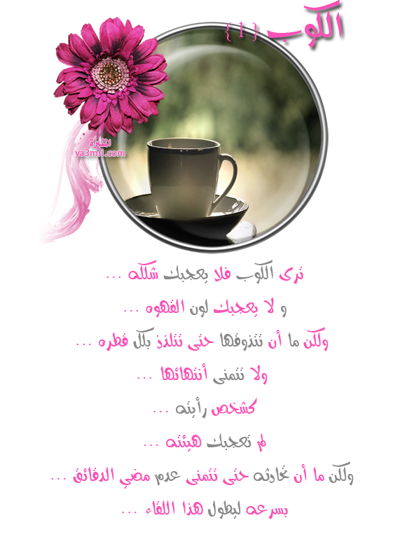 112810111141lggk07n9wgw0.png